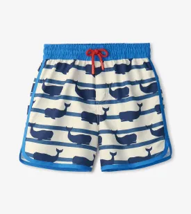 Hatley-Nautical Whale Swim Shorts